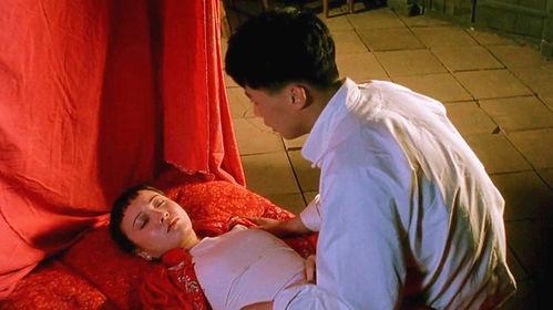 男人和女人国产,男人国与女人国的奇妙世界