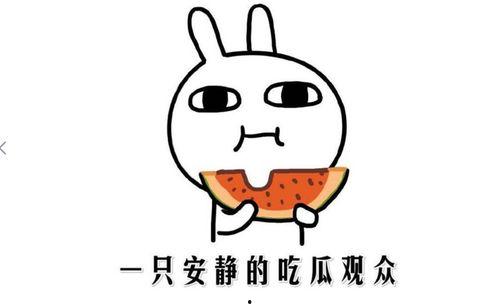 吃瓜是什么意思啊内涵,网络热词背后的社会现象与心理洞察